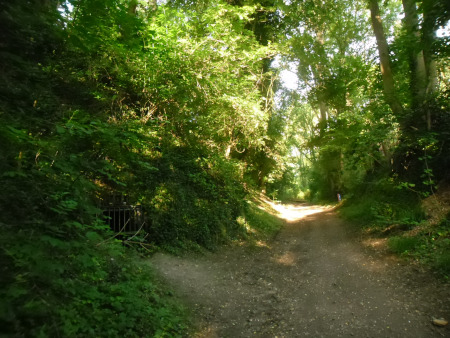 holle weg