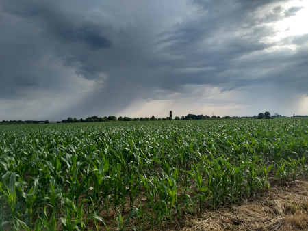 onweer aan de horizon