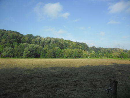 jachtveld voor reigers