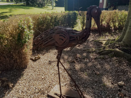 kraanvogel