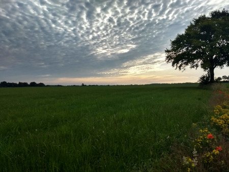 vroege ochtend