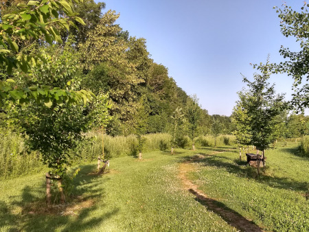 herdenkingsbos