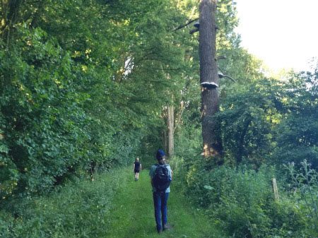 Meerssenerbroek