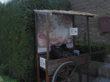 kersen te koop