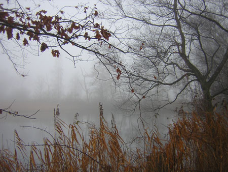 de Maay in de mist ...