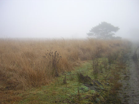 de Plateaux in de mist ...
