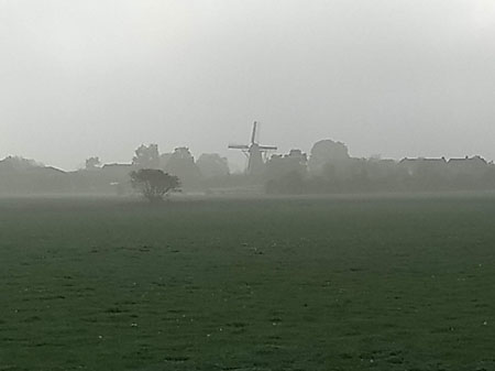 Rha in de mist