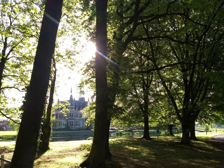 de zon schijnt volop