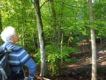 het hoogteverschil is niet groot