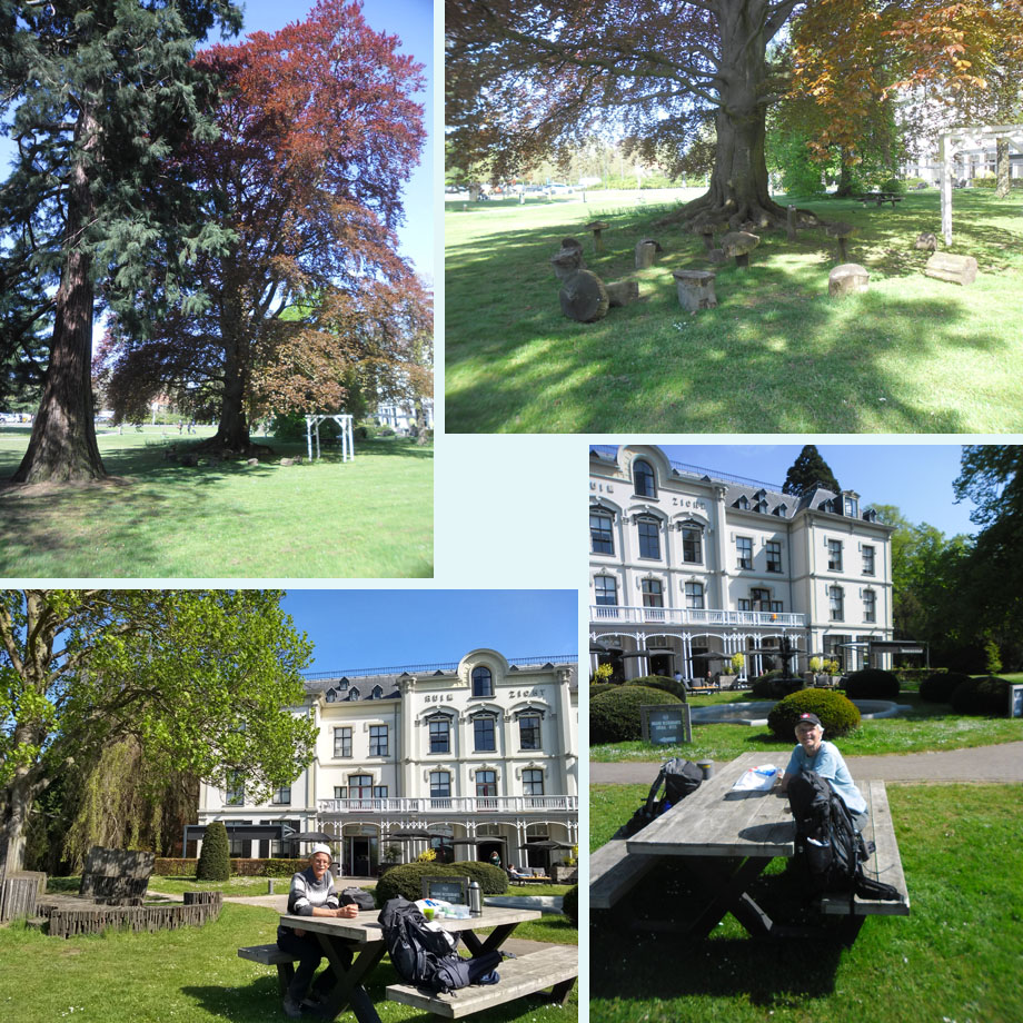 arboretum bij Villa Ruimzicht