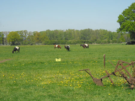 ouderwetse Lakenvelders