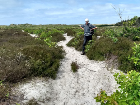 pfoe, mul zand