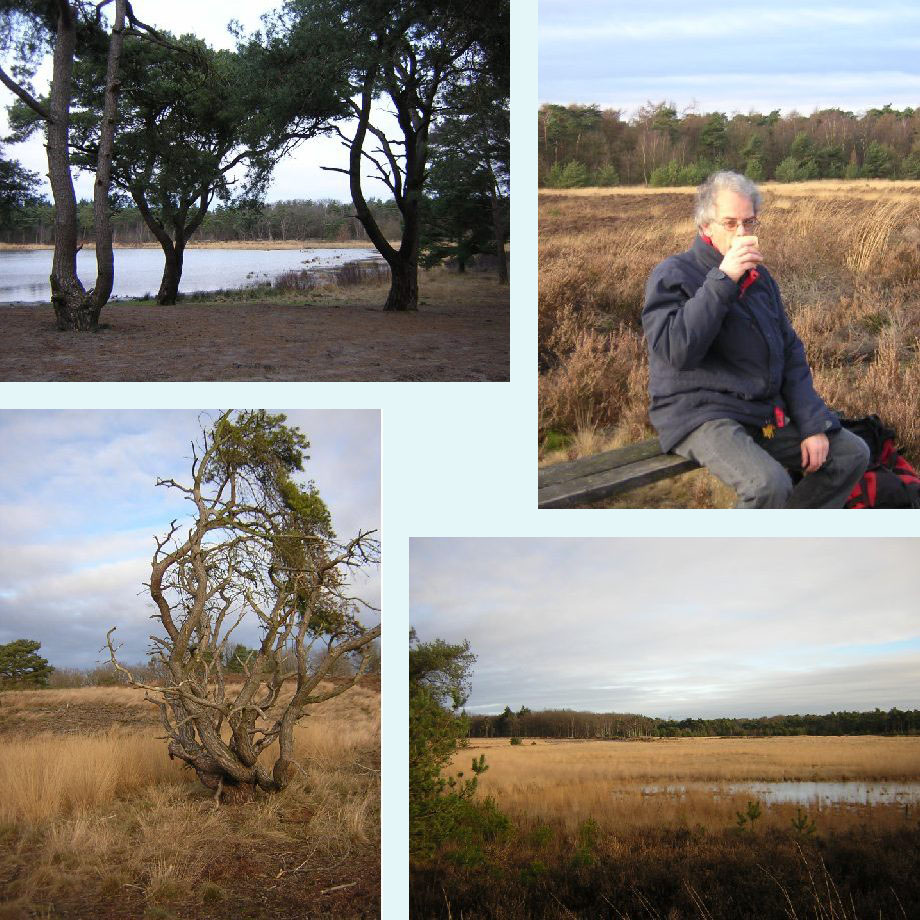 Meeuwven, theepauze, Groote Heide