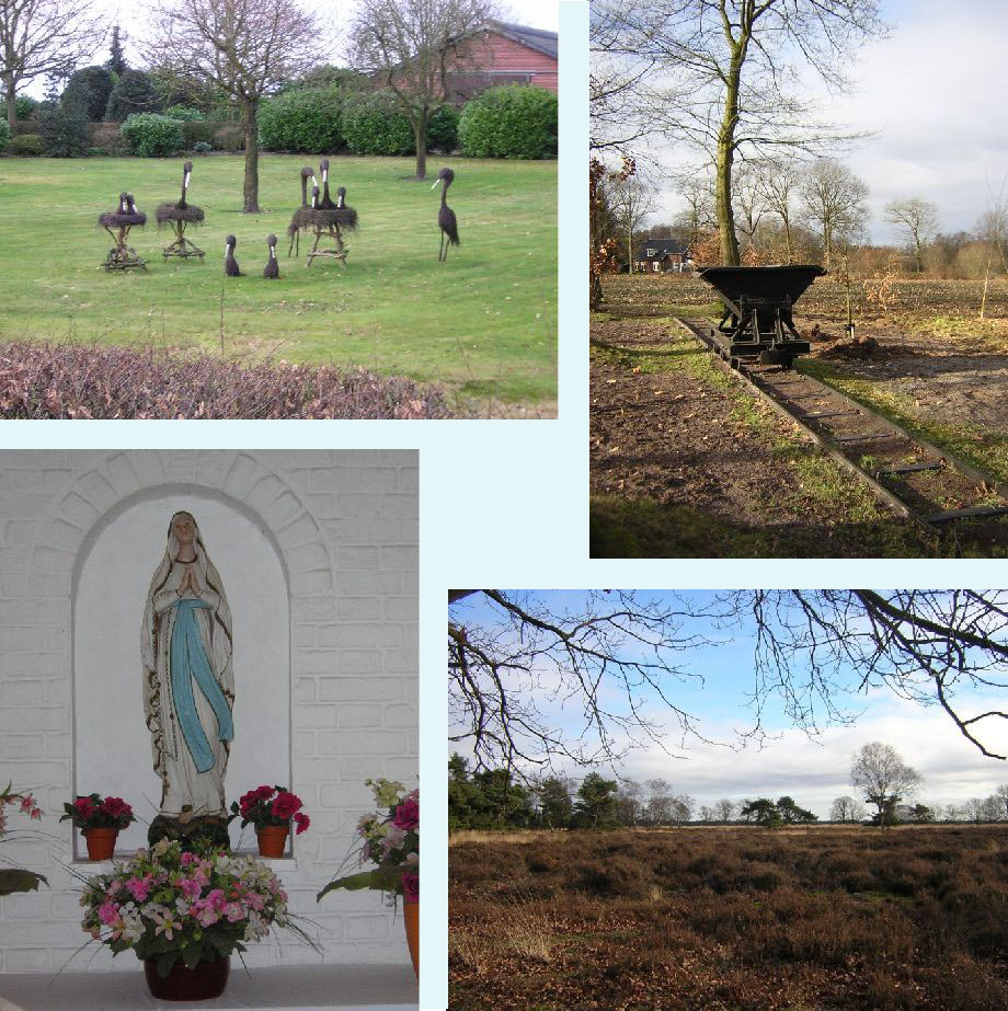 vreemde vogels, ontginningslijntje van Sterksel, wees gegroet, Strabrechtse Heide