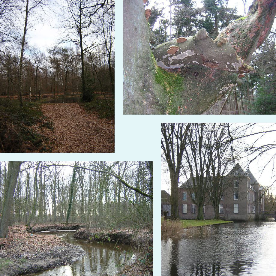 Herbertusbossen, mooie zwammen, Sterkselsche Aa, kasteel van Heeze
