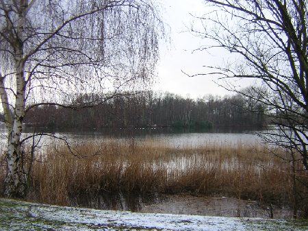 de Karpendonkse plas