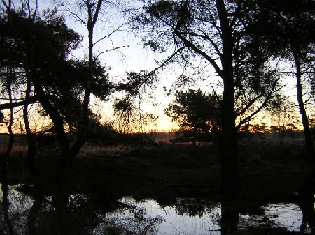 de zon komt op boven de heide