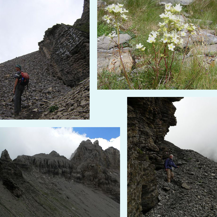 het Adelboden-dal in, steenbreek, Chlyne Lohner, steil pad