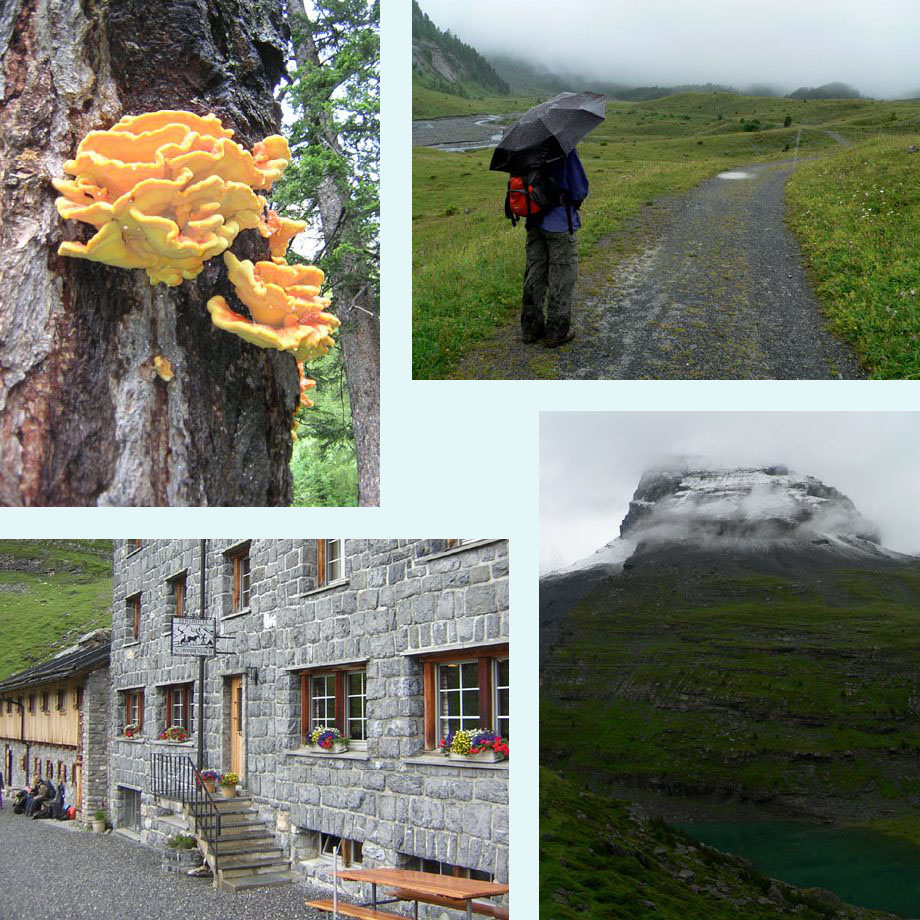 zwammen, dat was niet voorzien!, schuilen bij Schwarenbach, het trekt op