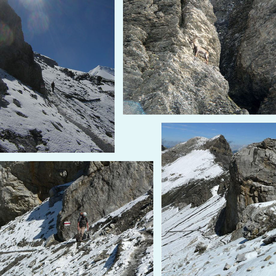 het laatste stuk, steenbok!, nog even, rauw landschap
