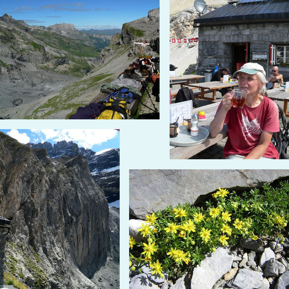 bij de hut, aan de thee, Gspaltenhorn, steenbreek