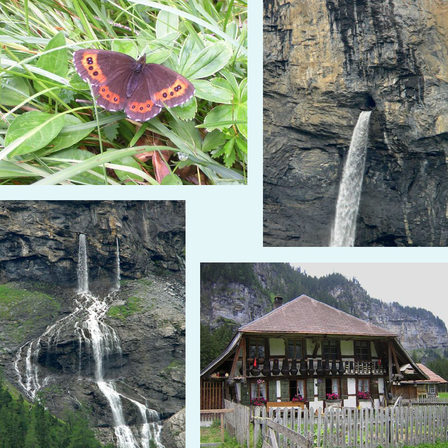 erebia, water uit de berg, en nog eens, boerderij bij Waldhaus
