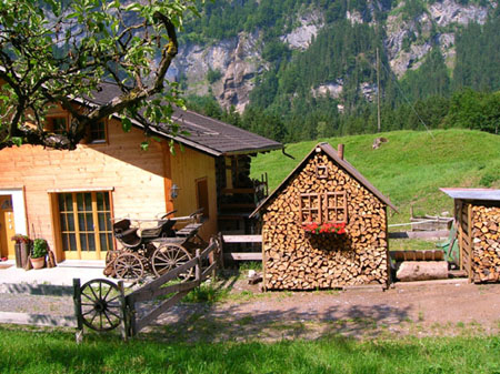 creatief met stookhout