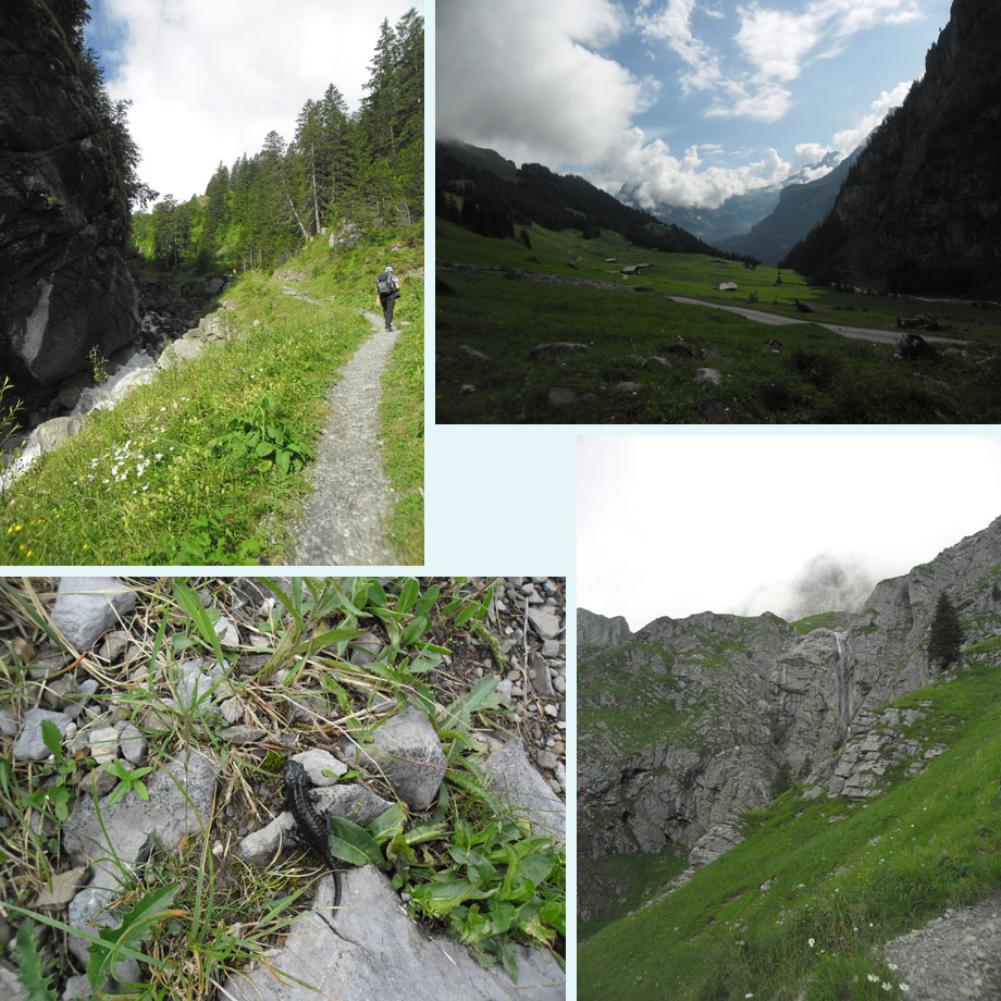 stijgen in het Uschinental, alpensalamandertje, naar Alpschelen