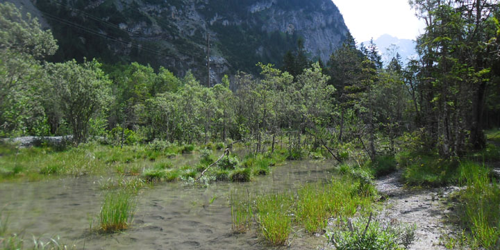 bij de Kander in het Gasterental