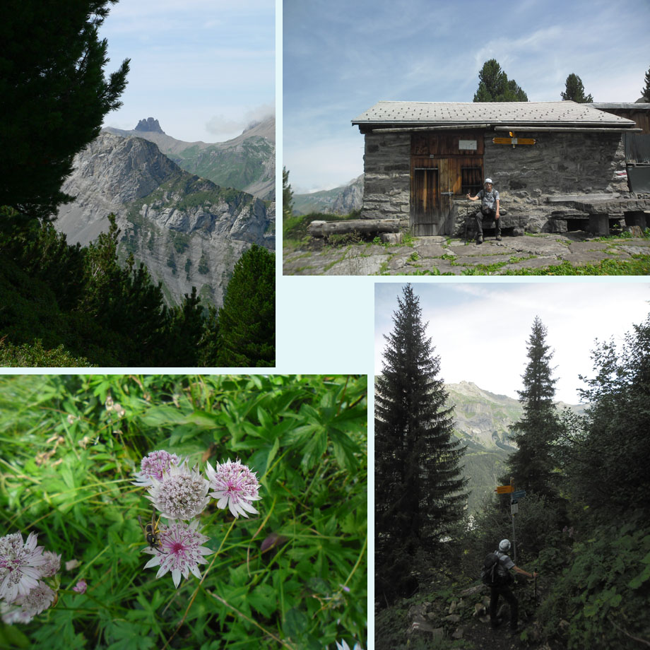 Tschingellochtighorn, Fisi Schafberg, astrantia, begin van het alpiene pad
