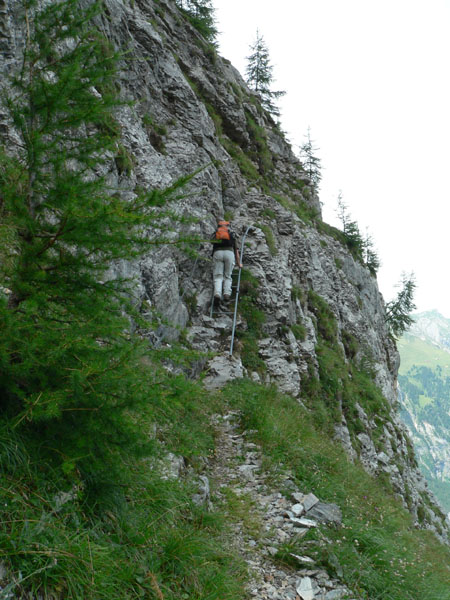 laddertje bij Fisistock