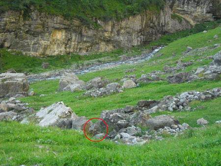 t is echt een murmeltier