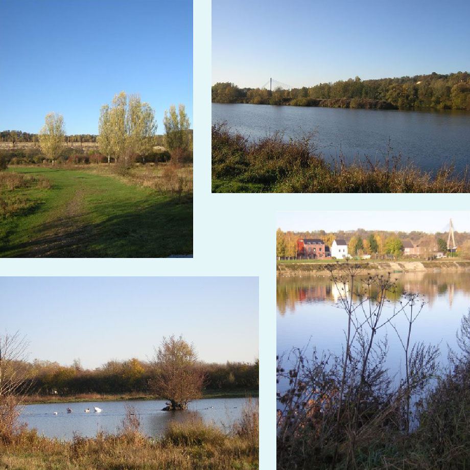 beemden, de Maas, plassen, Belgisch vergezicht