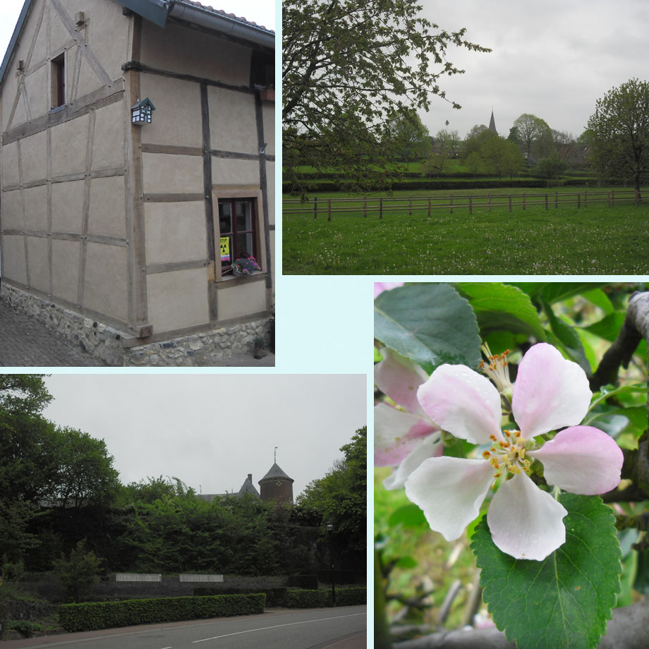 vakwerk voor vogels, Noorbeek, Mheer, late bloesem