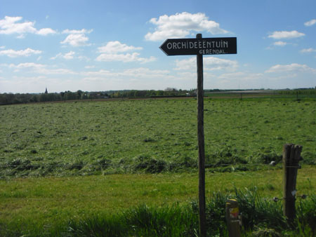 naar de orchideeentuin