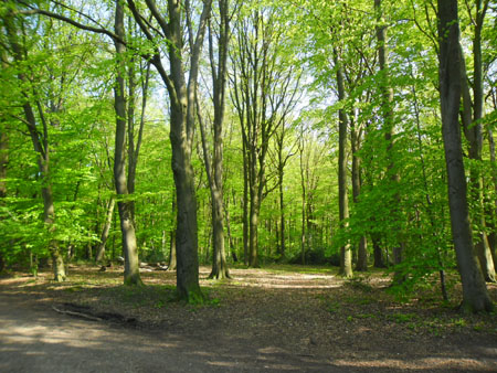 Onderste en laatste Bosch