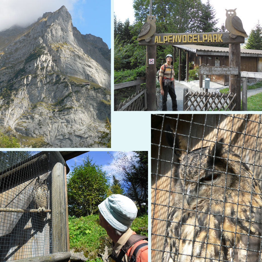 waar loopt het pad, in het Alpenvogelpark