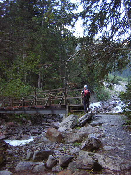 de brug over bij Trachsellauenen