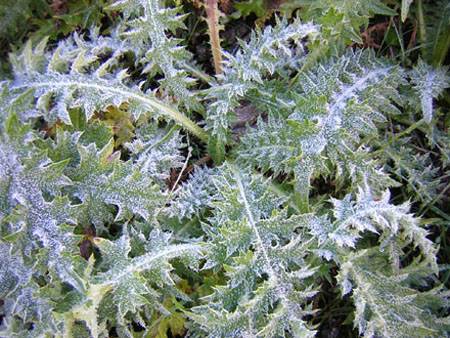 in de schaduw is het koud