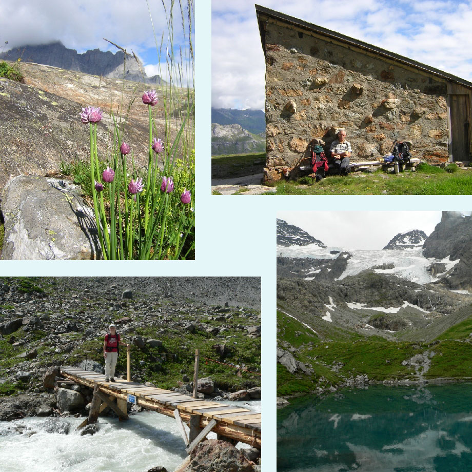 wilde bieslook, bij de Schmadrihutte, brug over de Schmadribach, Oberhornsee