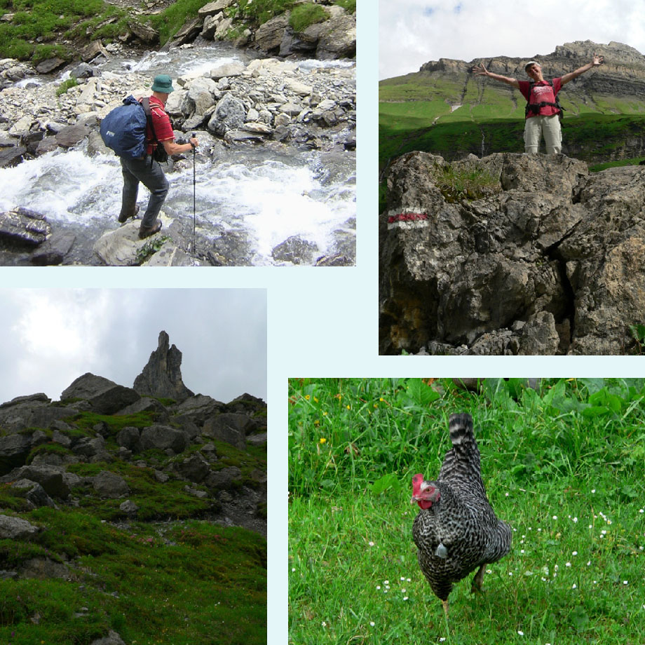 lastige oversteek, on top of the world, intigrerend piekje, kip ik hoor je!