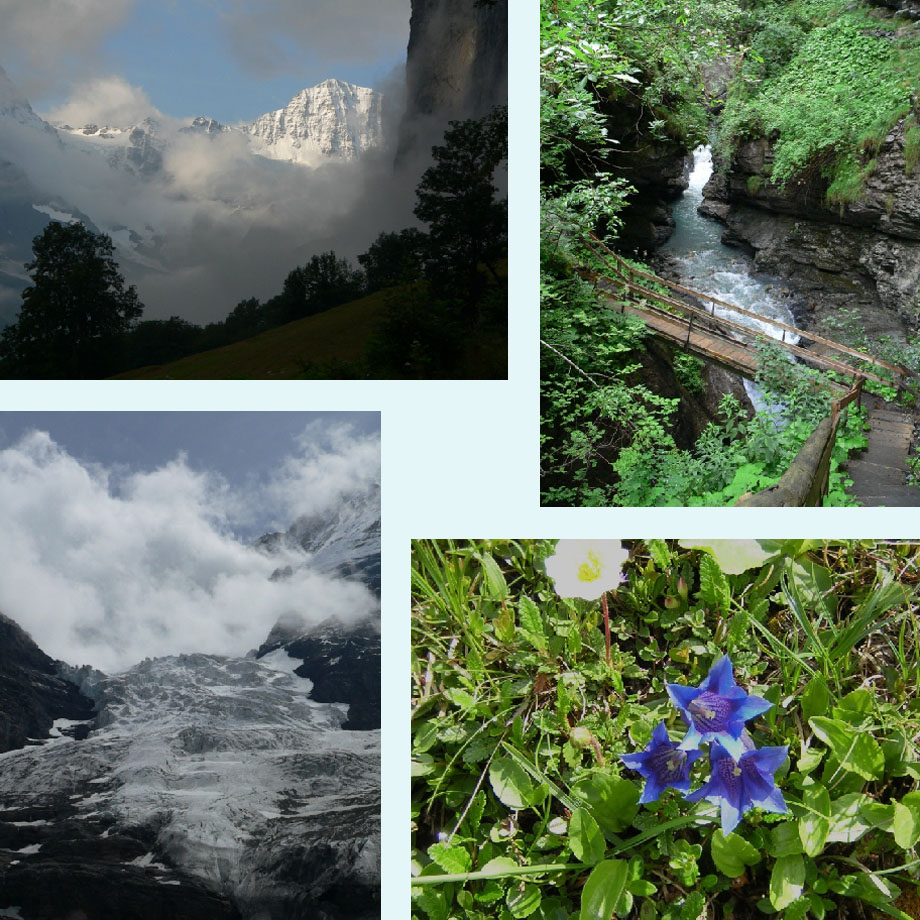 in het ochtendlicht, brug over de Trummelbach, gletsjer van dichtbij, gentianen