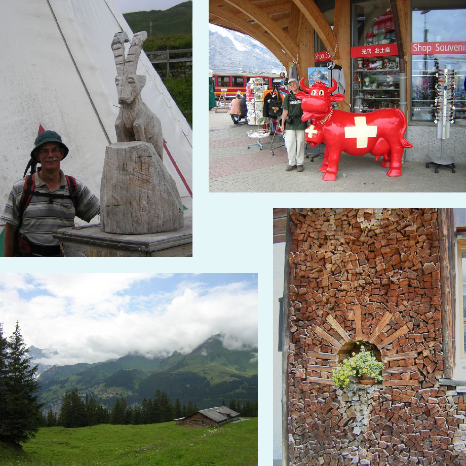 twee steenbokken, twee koeien(?), vanaf Mettlenalp, ruimte voor de plantjes