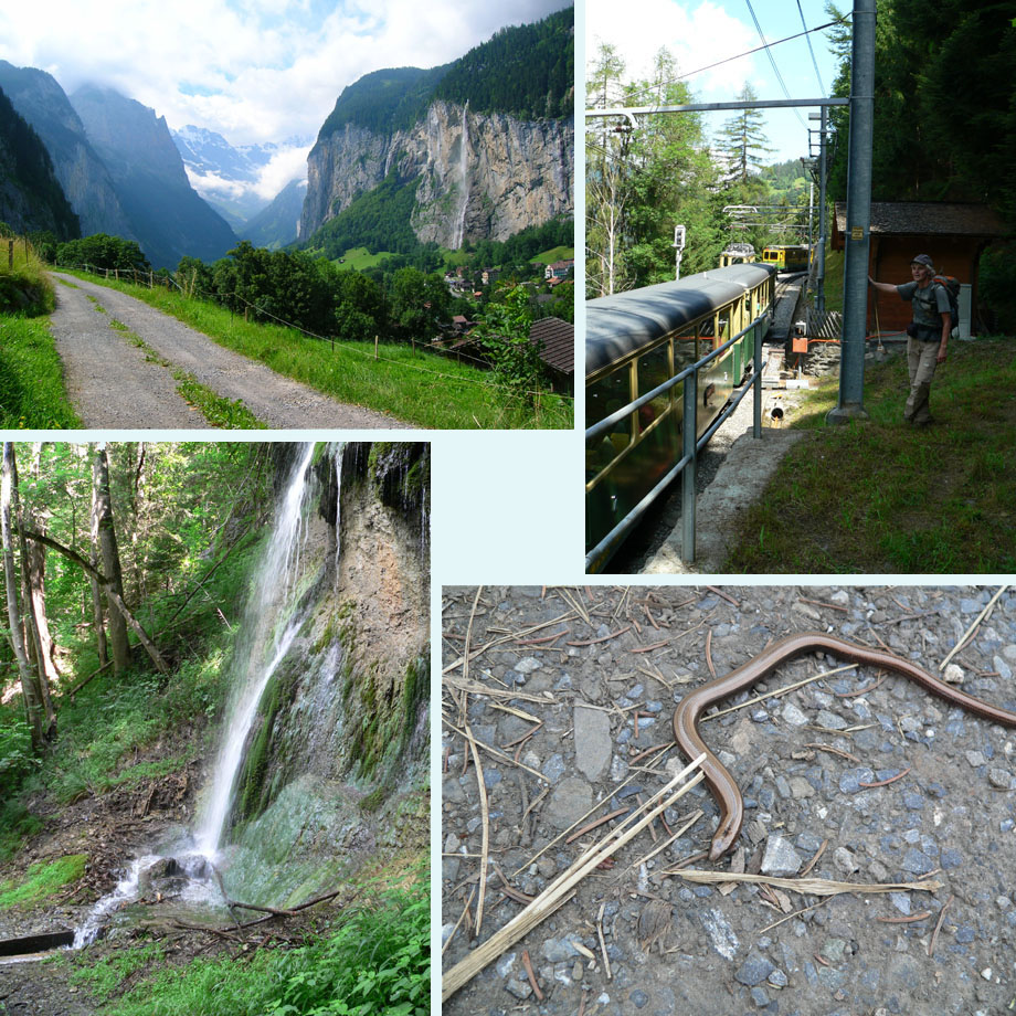 boven Lauterbrunnen, treintjes, waterval, hazelworm