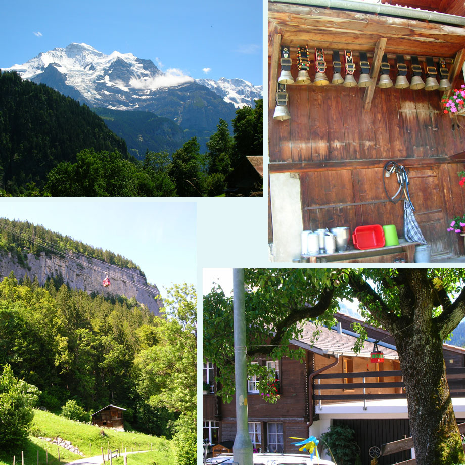 besneeuwde toppen, prijsbellen, bergbaantje groot en klein