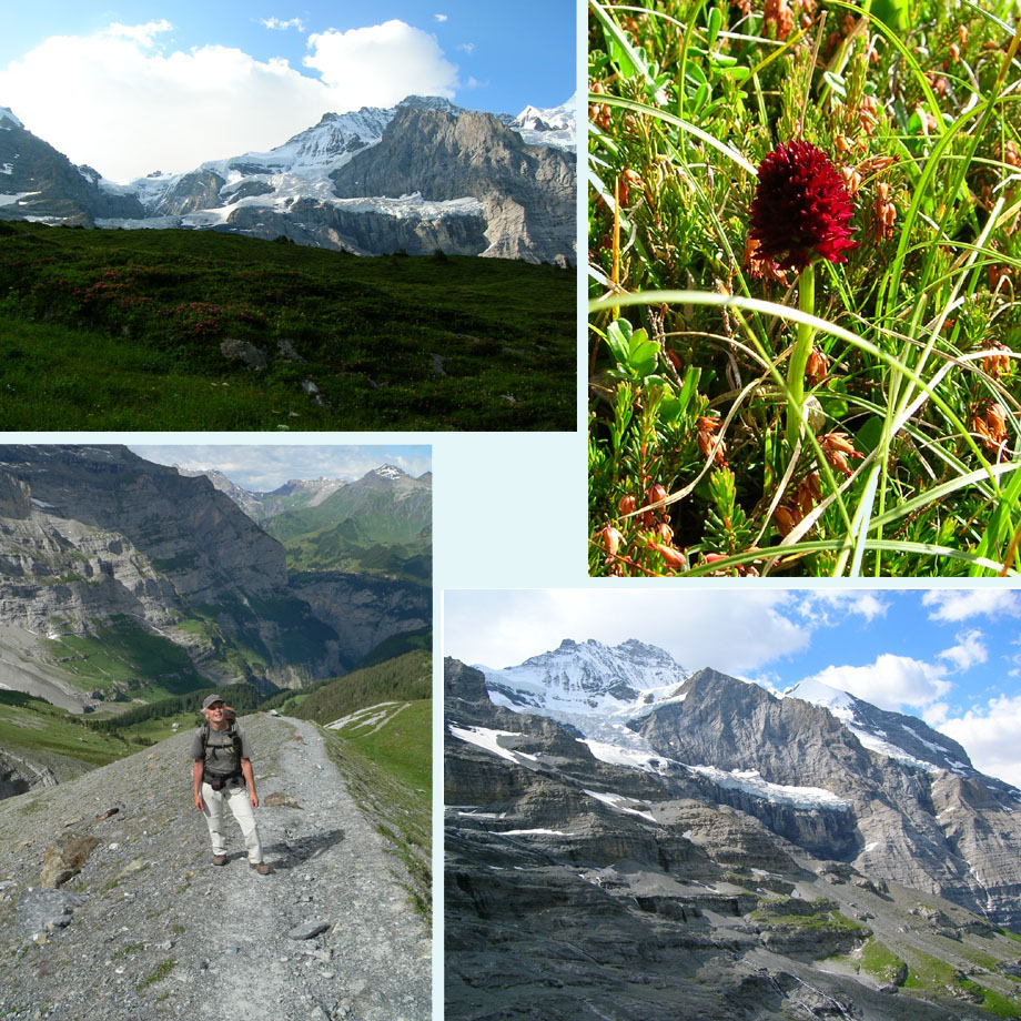 uitzicht, vanilleorchis, morenepad, bijna boven