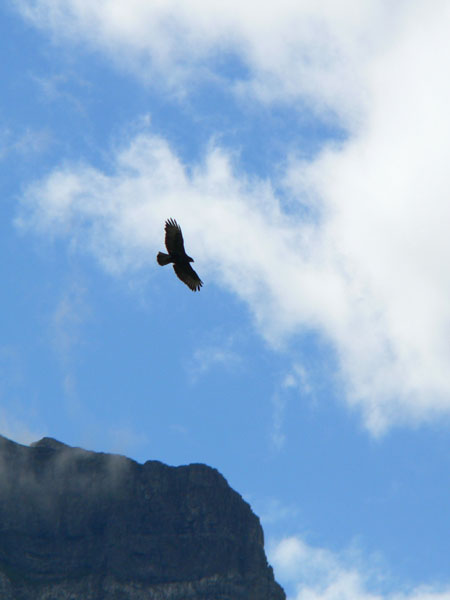 gewoon boven ons huisje