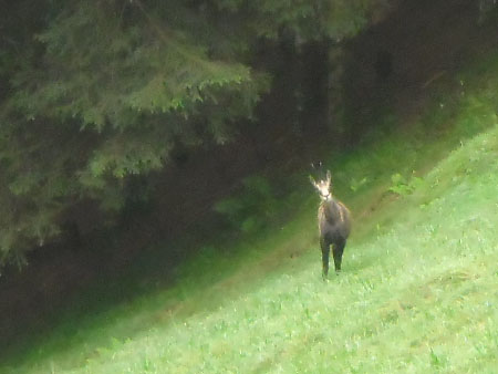 helemaal op z'n plek