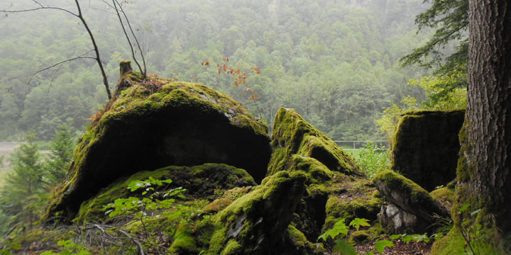 langs de oude 'Chilchweg'