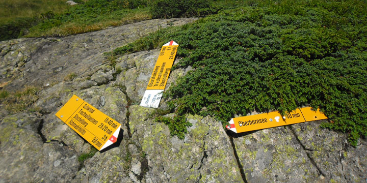 welke weg zullen we nemen?